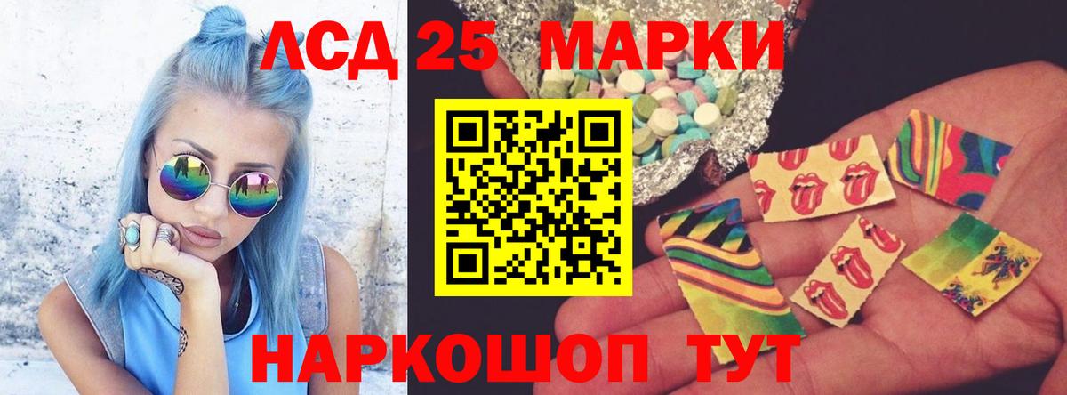 Галлюциногенные грибы Казань