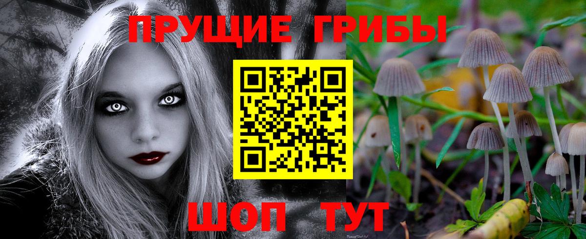 Казань  Псилоцибиновые грибы Magic Shrooms  Вход с VPN 