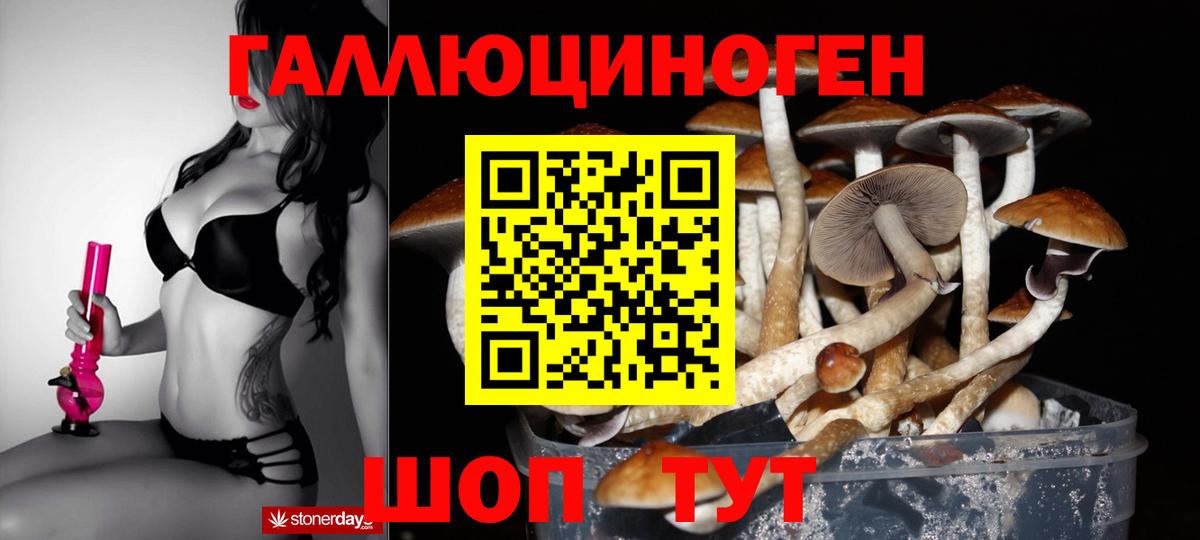 Псилоцибиновые грибы мухоморы Казань